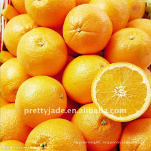 New season fresh Navel orange